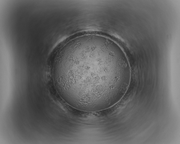 X0000112381255200908131522