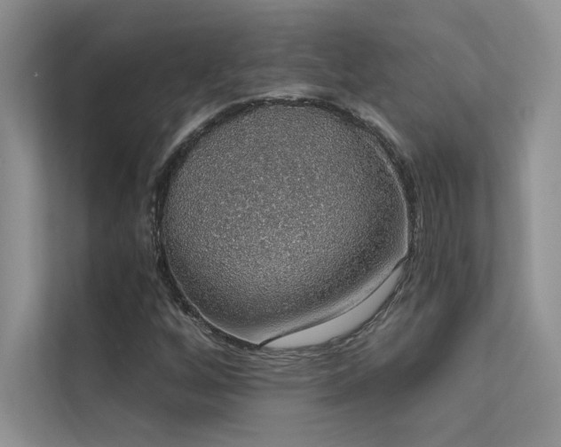 X0000112381256200908131522