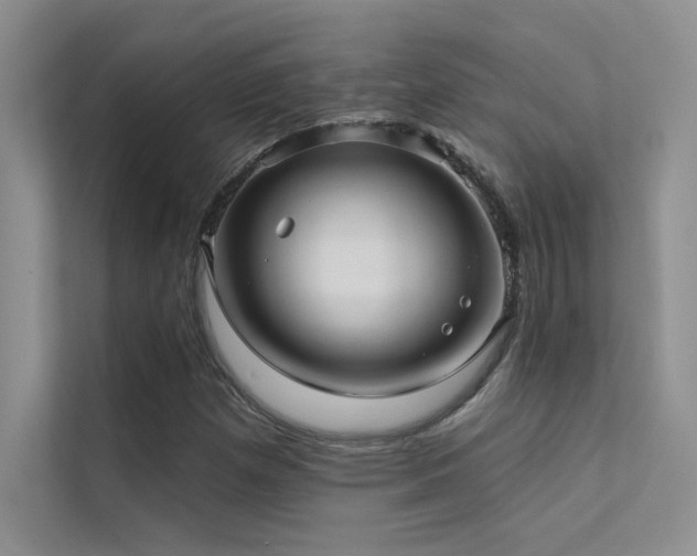 X0000112381257200908131522