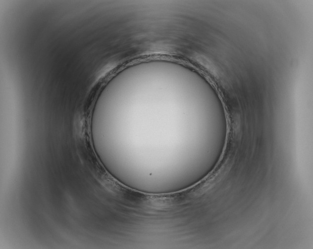 X0000112381258200908131522