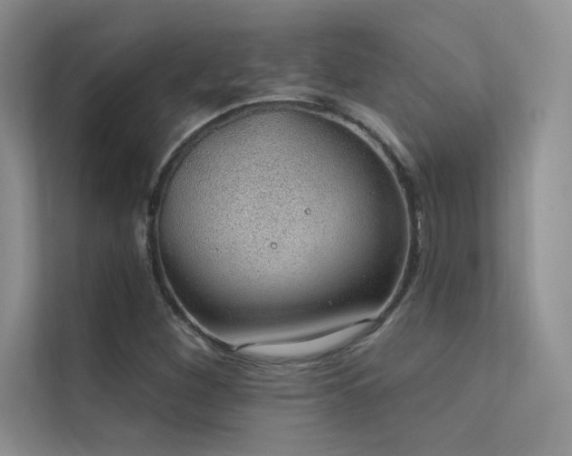 X0000112381260200908131522