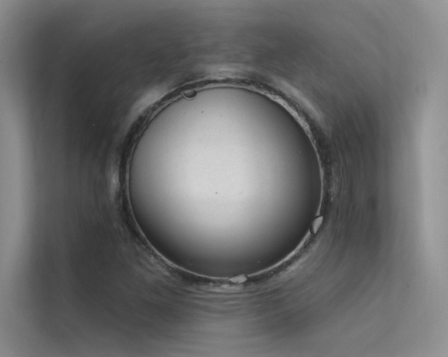 X0000112381261200908131522