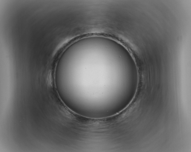 X0000112381262200908131522