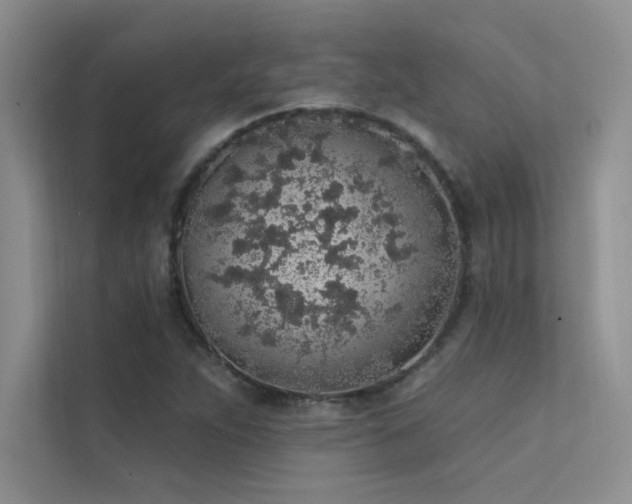 X0000112381263200908131522