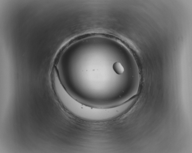 X0000112381264200908131522