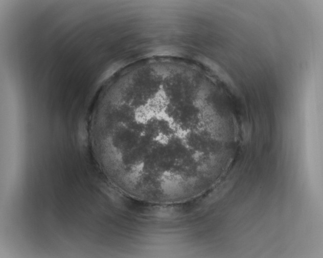 X0000112381266200908131522