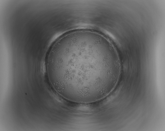 X0000112381267200908131522