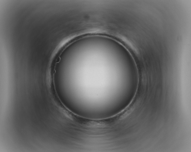 X0000112381270200908131522