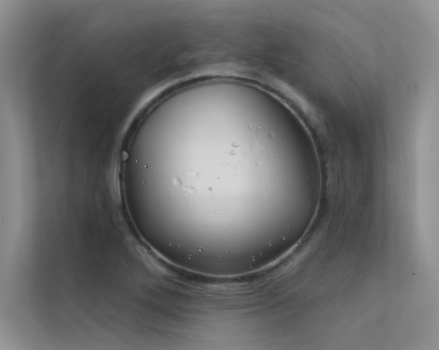 X0000112381272200908131522