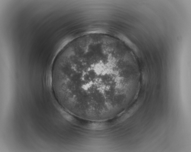 X0000112381274200908131522