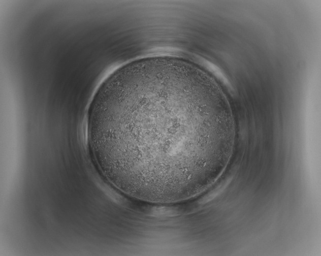 X0000112381275200908131522