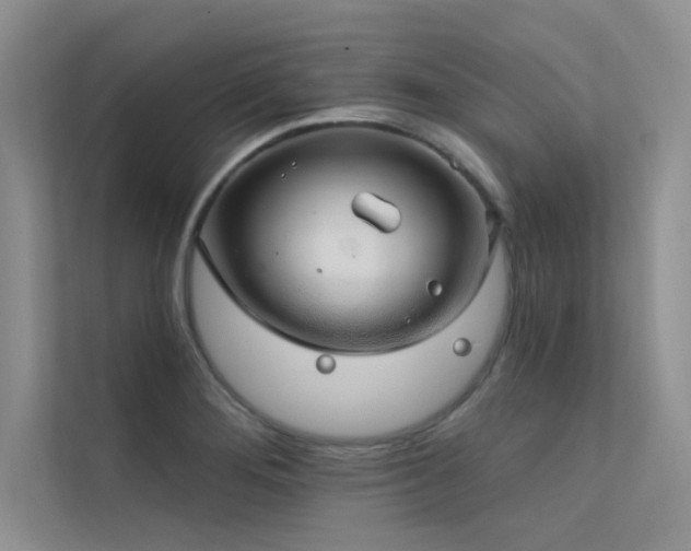 X0000112381276200908131522