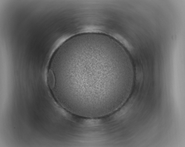 X0000112381277200908131522