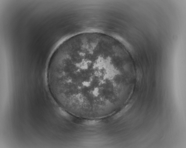 X0000112381278200908131521