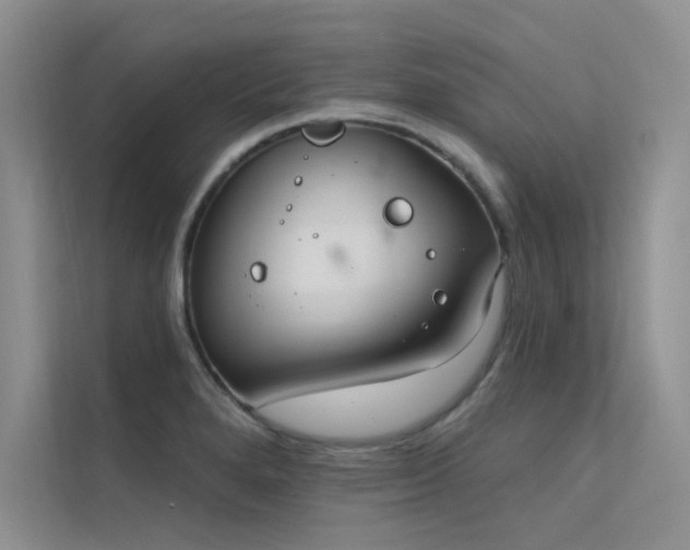 X0000112381280200908131521