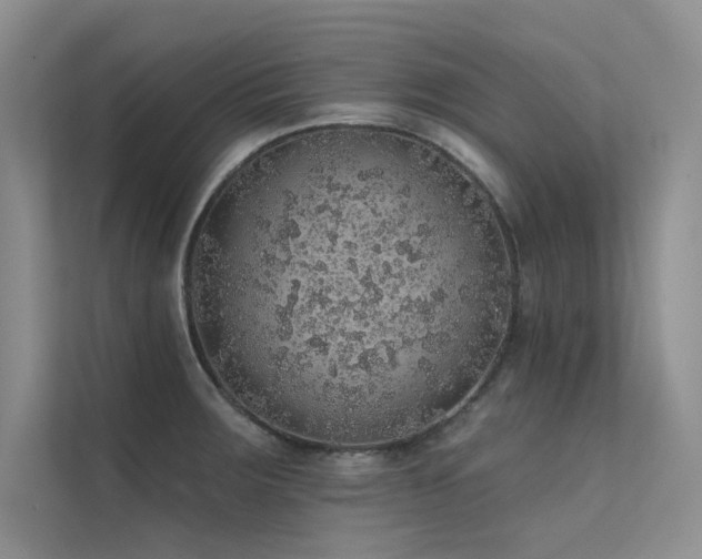 X0000112381283200908131521