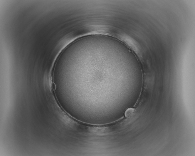 X0000112381284200908131521