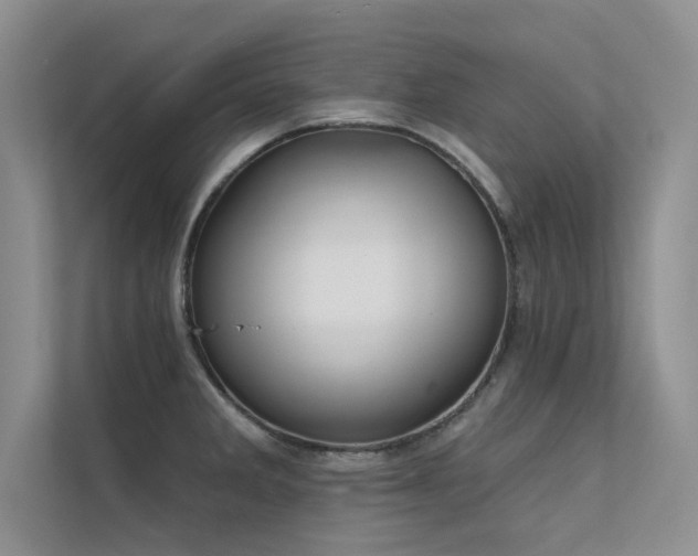 X0000112381285200908131521