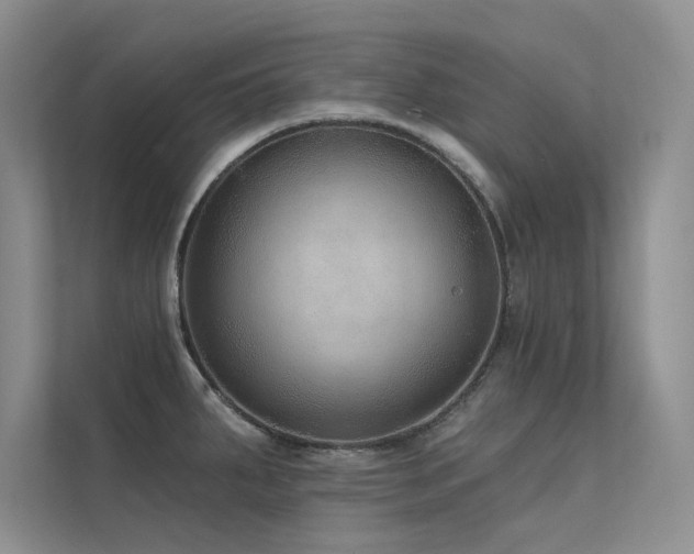 X0000112381287200908131521