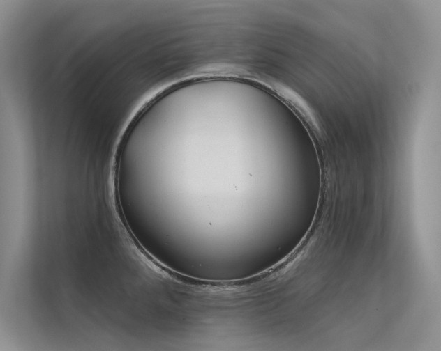 X0000112381288200908131521