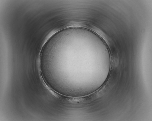 X0000112381290200908131521