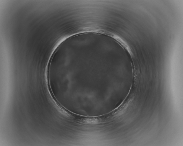 X0000112381291200908131521