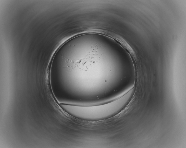 X0000112381292200908131521