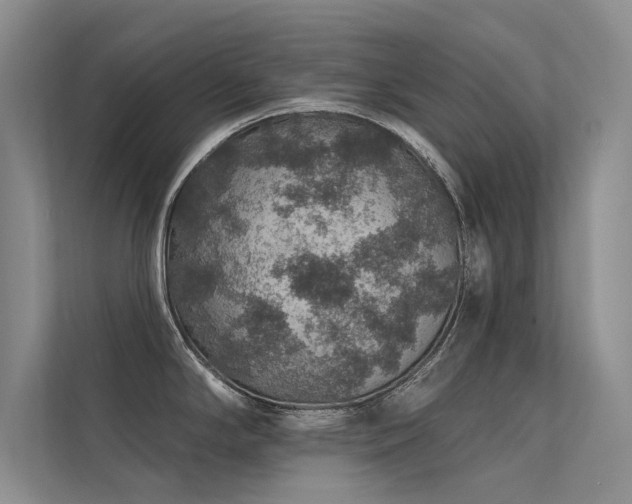 X0000112381294200908131521