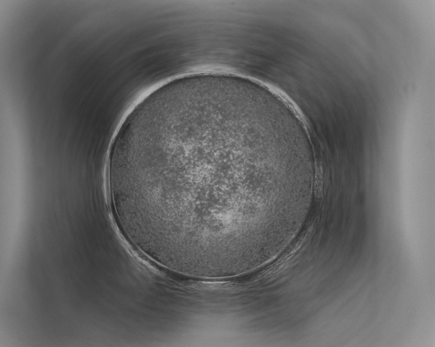 X0000112381295200908131521