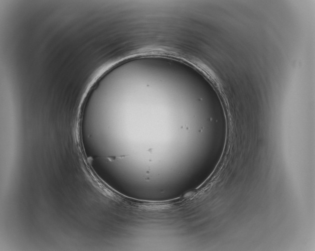 X0000112381296200908131521