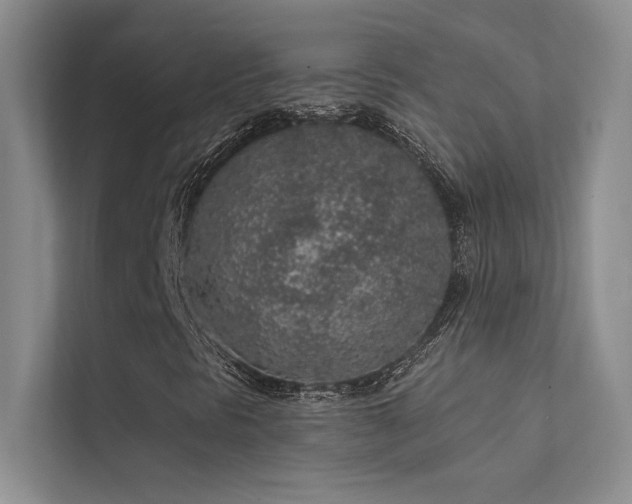 X0000112381297200908131521