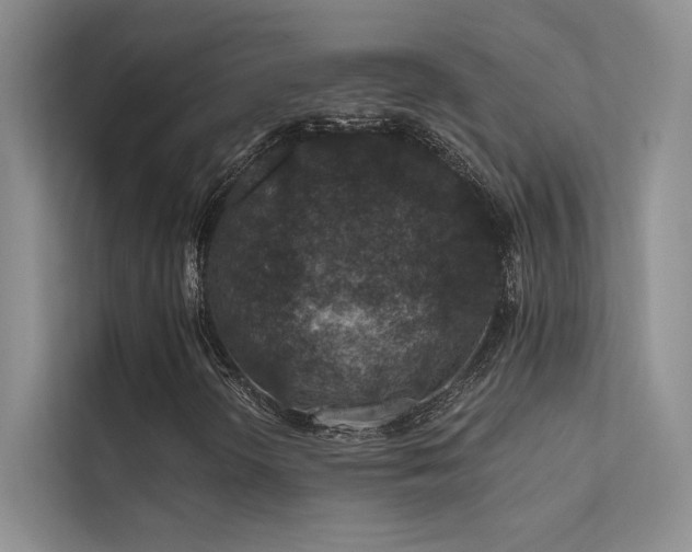 X0000112381298200908131521