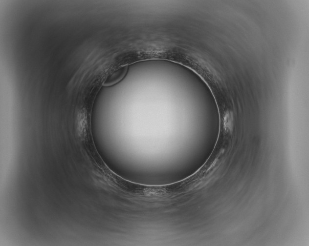 X0000112381299200908131521