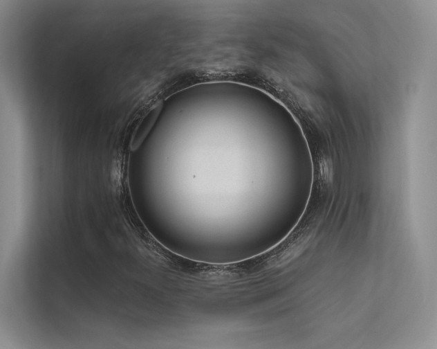 X0000112381300200908131521