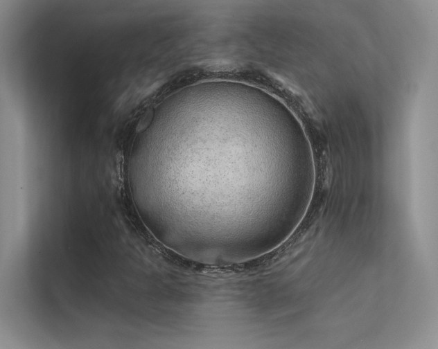 X0000112381301200908131521