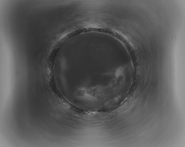 X0000112381303200908131521