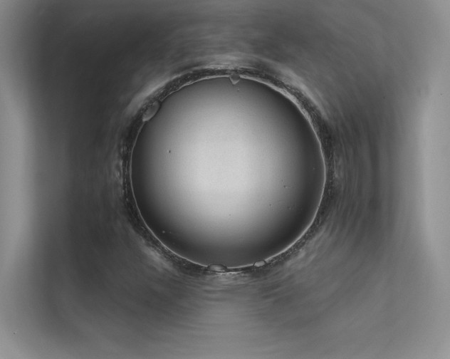 X0000112381304200908131521