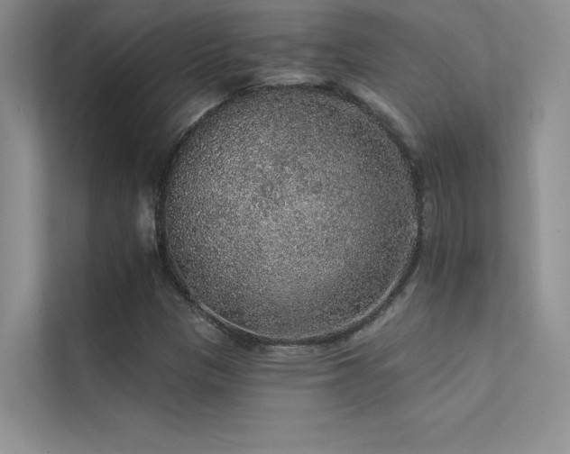 X0000112381305200908131521