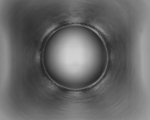 X0000112381309200908131521