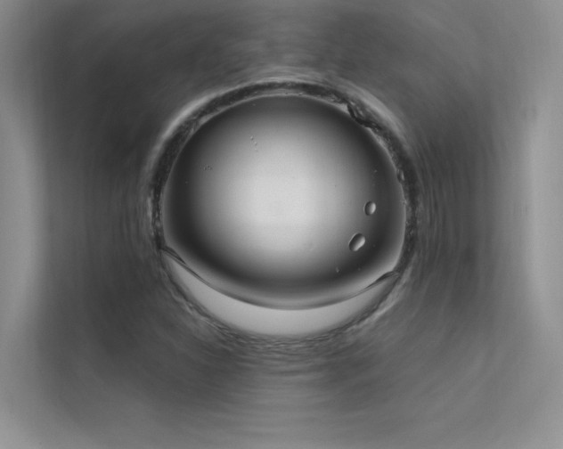 X0000112381310200908131521