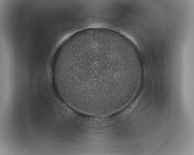 X0000112381311200908131521