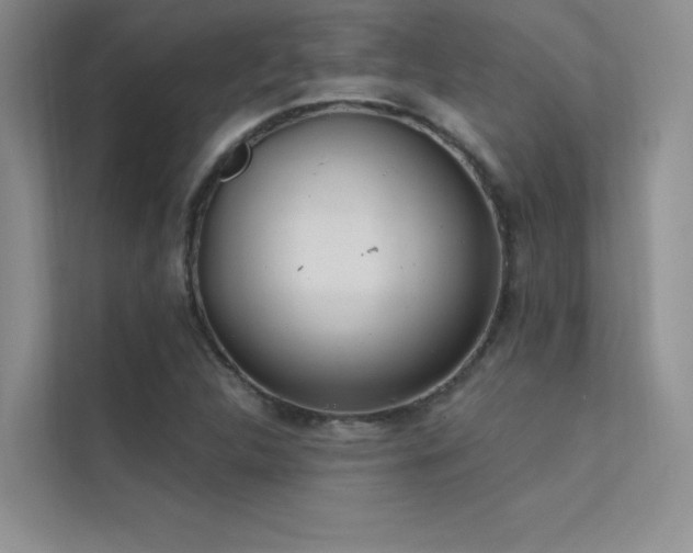 X0000112381312200908131521