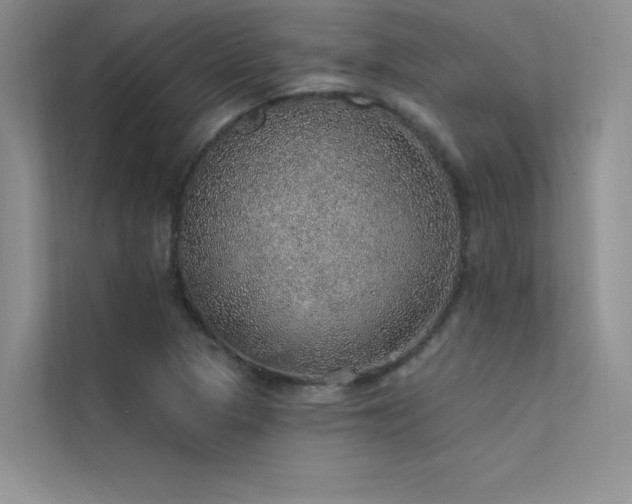 X0000112381313200908131521