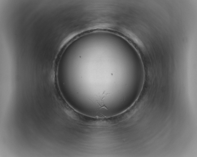 X0000112381316200908131521