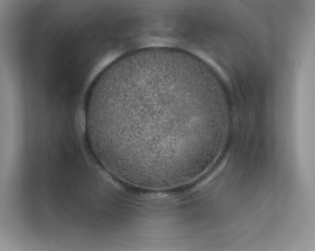 X0000112381317200908131521