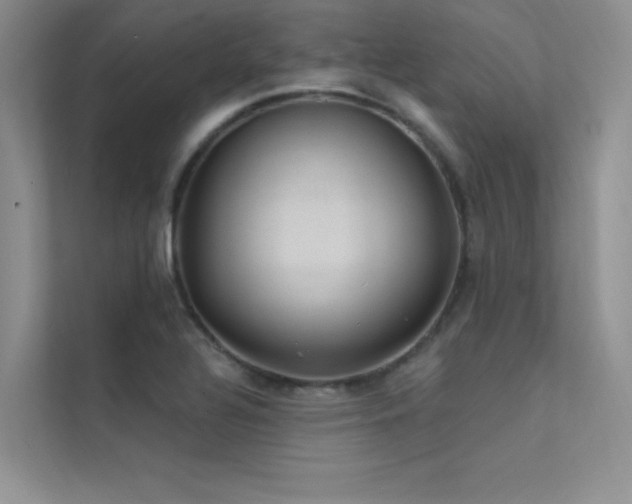 X0000112381320200908131521