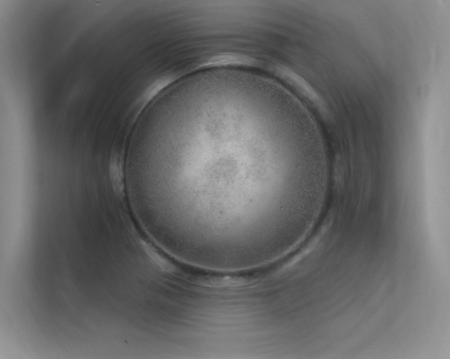 X0000112381321200908131521