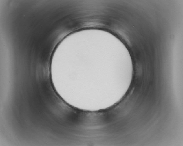 X0000112381322200908131521