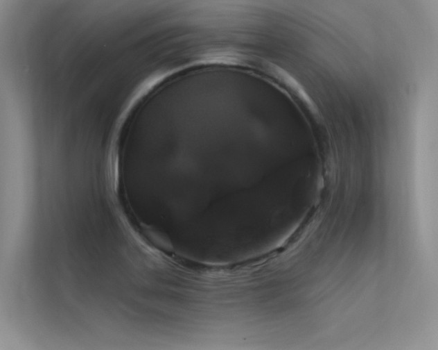 X0000112381323200908131521