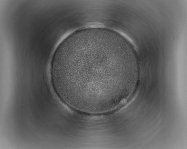 X0000112381325200908131521